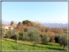 foto Sentiero degli Ezzelini